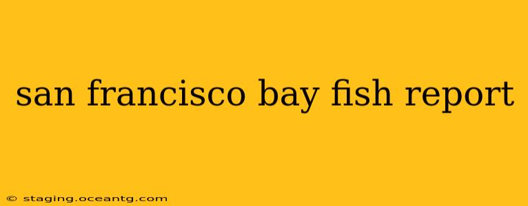 san francisco bay fish report
