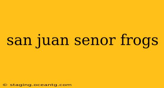 san juan senor frogs