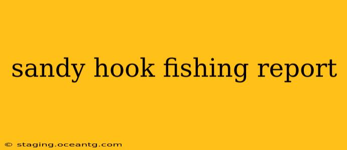 sandy hook fishing report