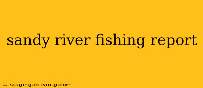 sandy river fishing report