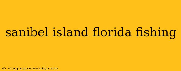 sanibel island florida fishing