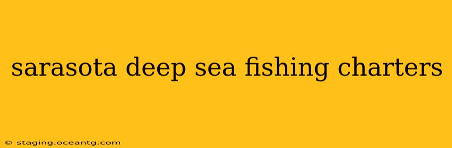 sarasota deep sea fishing charters