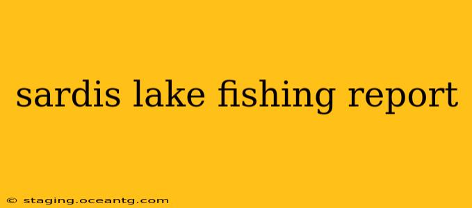 sardis lake fishing report