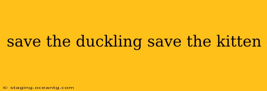 save the duckling save the kitten