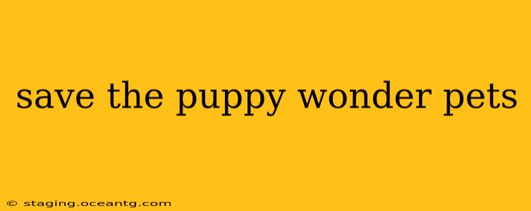 save the puppy wonder pets
