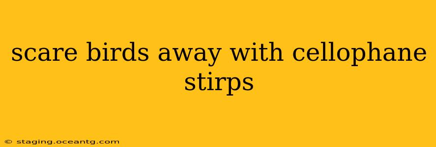 scare birds away with cellophane stirps