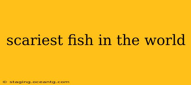 scariest fish in the world