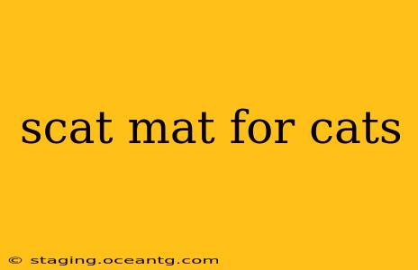 scat mat for cats