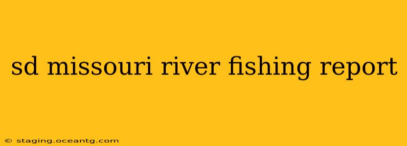 sd missouri river fishing report