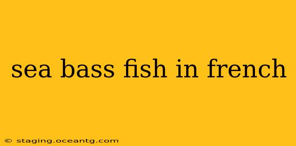 sea bass fish in french