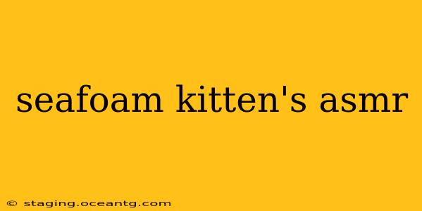 seafoam kitten's asmr