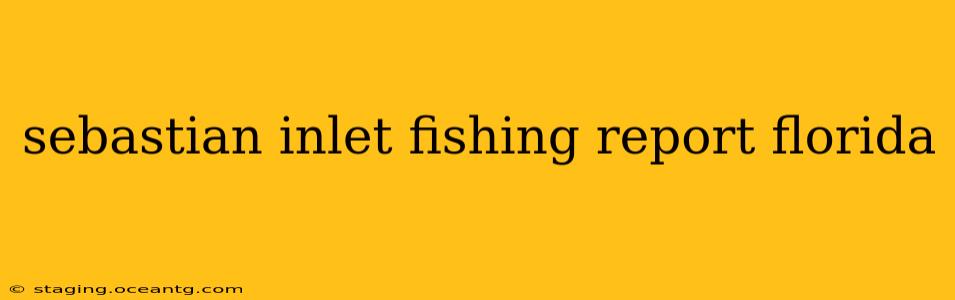 sebastian inlet fishing report florida