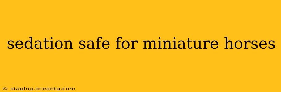 sedation safe for miniature horses