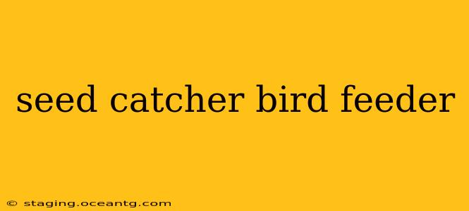 seed catcher bird feeder