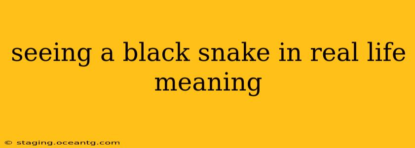 seeing a black snake in real life meaning
