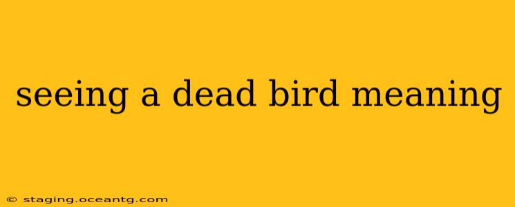 seeing a dead bird meaning