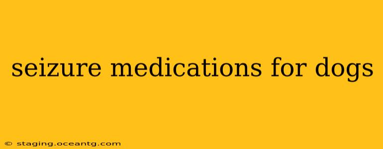 seizure medications for dogs