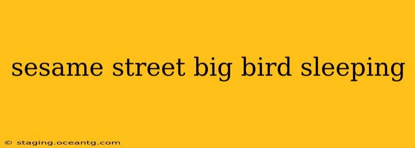 sesame street big bird sleeping