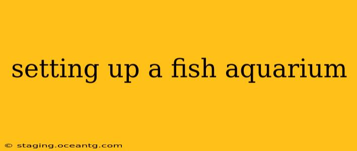setting up a fish aquarium