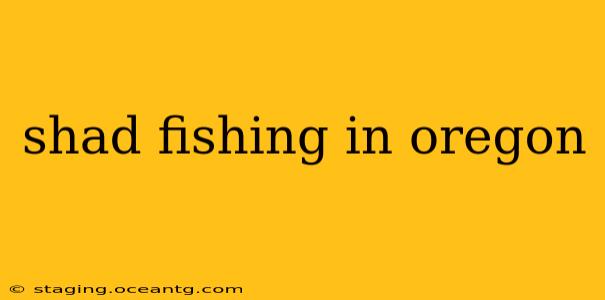 shad fishing in oregon