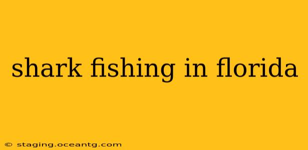 shark fishing in florida