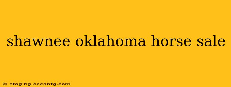 shawnee oklahoma horse sale