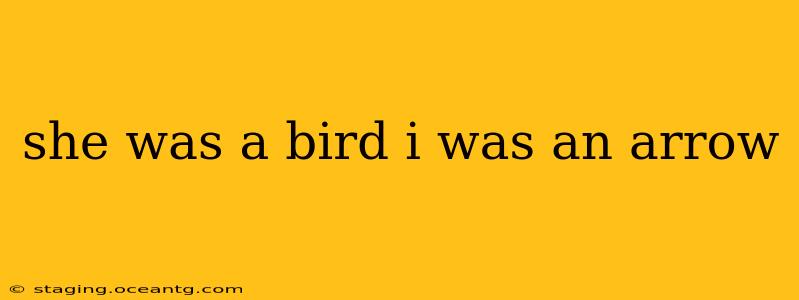 she was a bird i was an arrow