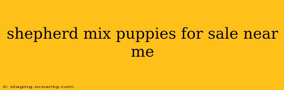 shepherd mix puppies for sale near me
