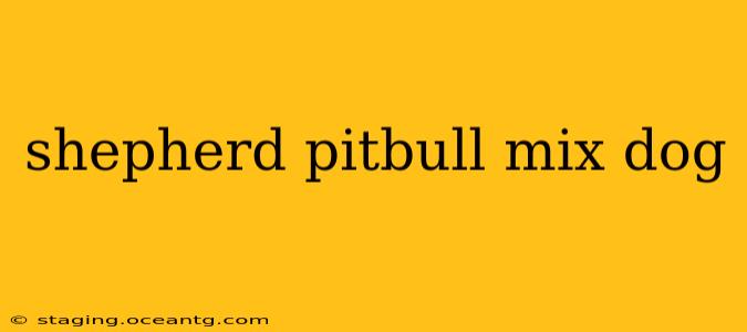 shepherd pitbull mix dog