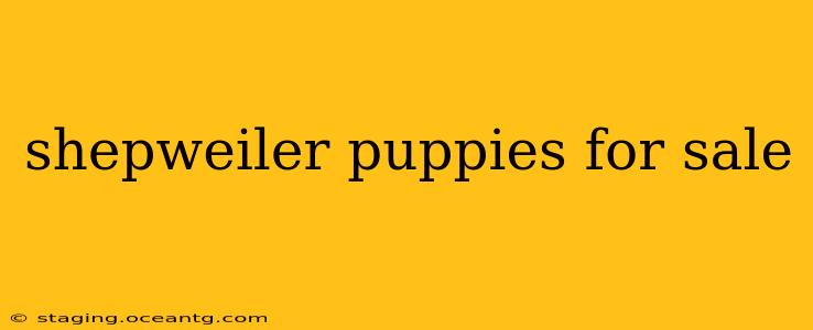 shepweiler puppies for sale