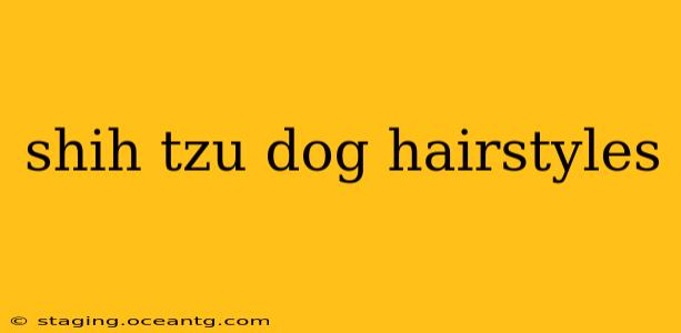 shih tzu dog hairstyles
