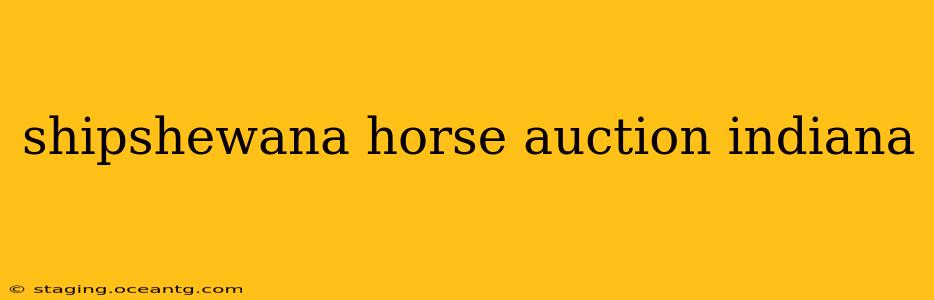 shipshewana horse auction indiana