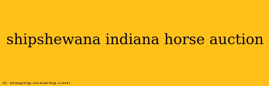 shipshewana indiana horse auction