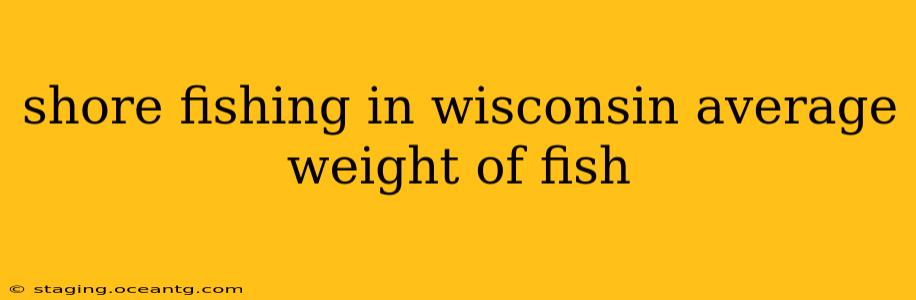 shore fishing in wisconsin average weight of fish