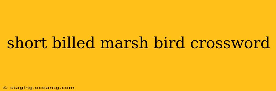 short billed marsh bird crossword