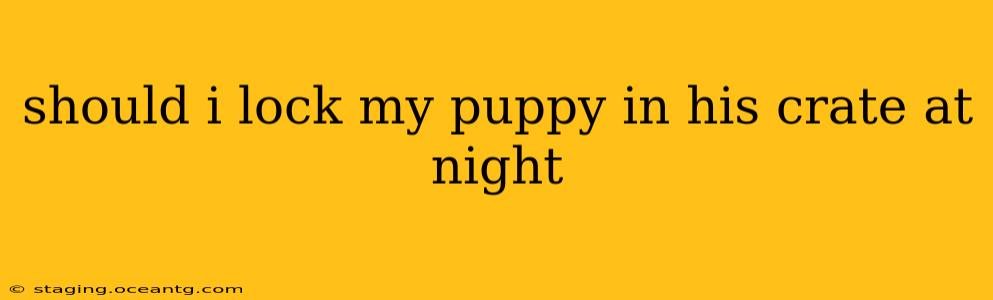 should i lock my puppy in his crate at night