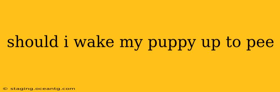 should i wake my puppy up to pee