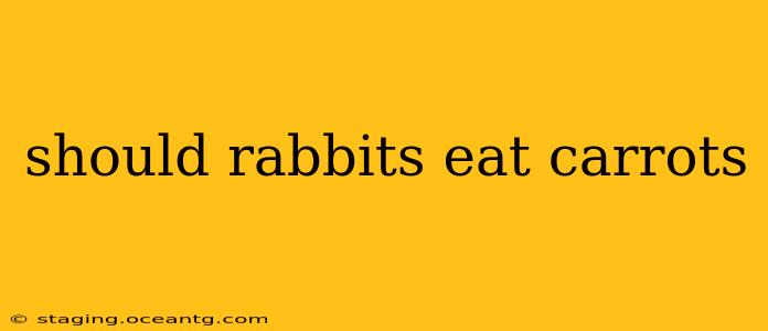 should rabbits eat carrots