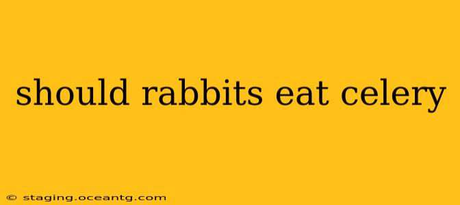 should rabbits eat celery