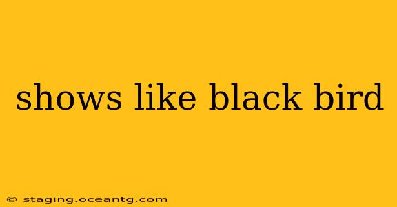 shows like black bird