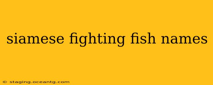 siamese fighting fish names