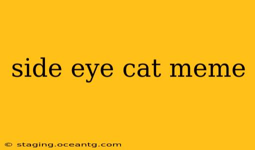 side eye cat meme