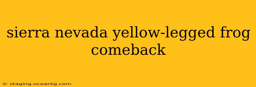 sierra nevada yellow-legged frog comeback