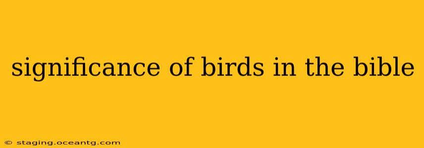 significance of birds in the bible