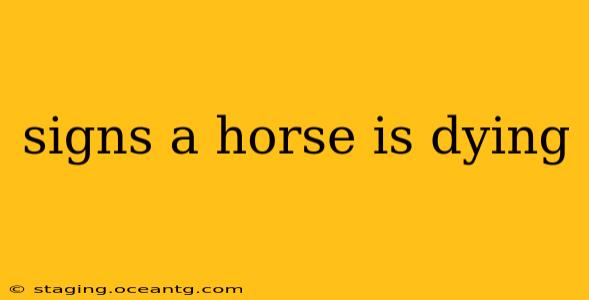 signs a horse is dying
