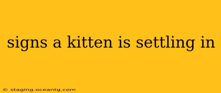 signs a kitten is settling in