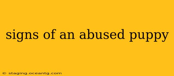 signs of an abused puppy