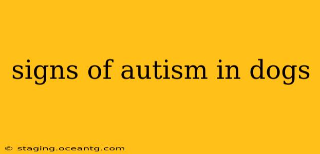 signs of autism in dogs