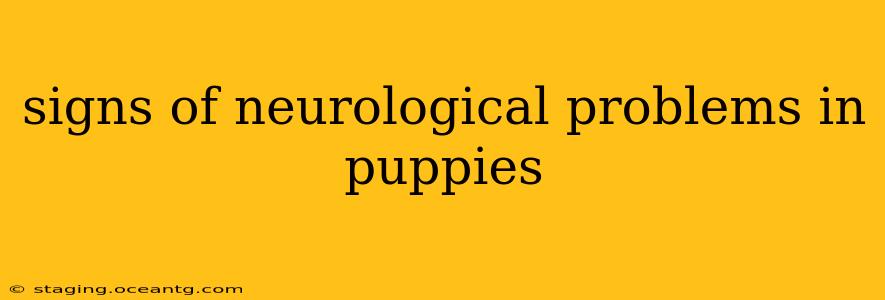 signs of neurological problems in puppies