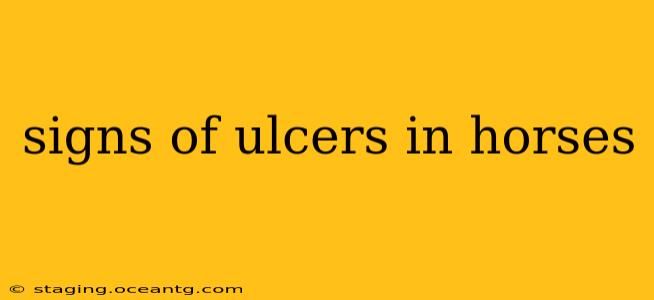 signs of ulcers in horses
